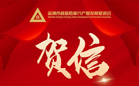 荣获2022粤港澳大湾区战略性新兴产业“领航企业”，引领未来社会经济发展