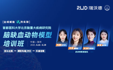 吉训明教授团队 | 脑缺血动物模型线下培训班，报名开启！