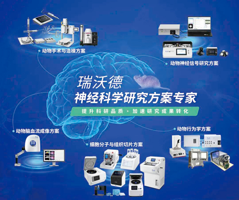 中国神经科学学会第十六届全国学术会议暨第二届中日韩国际会议（以下简称“CNS大会”）将于2023年7月27日-30日在珠海国际会展中心召开。作为我国神经科学领域规模盛大、学术水平高超的学术会议，CNS大会专注于脑科学前沿技术探讨与应用，每年都吸引众多国内外神经科学专家与学者参会，研讨交流近年来神经科学的最新发展及科研成果。 瑞沃德展位（T18特装展位） 作为一家深耕生命科学领域的公司，瑞沃德在神经科学研究领域也不断创新，臻于至善，为科研工作者提供全方位的技术和服务支持，已连续多年参与CNS大会。今年，瑞沃德也将携神经科学研究明星产品及解决方案亮相本次会议。在此，我们诚挚地邀请您莅临瑞沃德T18特装展位参观交流！ 中国神经科学学会第十六届全国学术会议 暨第二届中日韩国际会议 2023 年 7 月 27 日－30 日 （27日为展商报到日） 珠海国际会展中心 T18特装展位 一站式“神经科学研究解决方案” 瑞沃德“神经科学研究解决方案”，融合动物手术与造模方案、动物神经信号研究方案、动物脑血流成像方案、细胞分子与组织切片方案、动物行为学方案，以专业、完整的场景化解决方案，满足神经科学领域不同科研工作者的专业化实验需求，提升科研品质，加速研究成果转化。 神经科学研究解决方案 神经科学领域明星产品重磅亮相 作为神经科学领域的使能者，瑞沃德坚持突破创新，不断为自研产品注入新动能。我们将在CNS大会上展示三色多通道光纤记录系统、RFLSI ZW激光散斑血流成像系统等多款主流明星产品，欢迎各位莅临瑞沃德展位（T18特装展位）了解。 明星产品 更多产品 新品发布，共邀体验 在本次大会上，瑞沃德也将带来神经科学研究的三款新品——TAIJI小动物麻醉机、全自动脑立体定位仪和嗅觉行为训练系统，现场将会有专业人员进行新品发布演讲，诚邀各位同行一起交流讨论。 全自动脑立体定位仪&TAIJI小动物麻醉机 演讲时间：7月29日09:30 瑞沃德全自动脑立体定位仪，是一款自动化、智能化的脑立体定位仪。电机精准控制步进，可自动化运行，减少人为操作带来的误差，解放双手，节省人工成本；内置大小鼠脑图谱和常用实验任务?？椋臃奖愫椭惫鄣亟心粤⑻宥ㄎ?。 作为一体化设计的麻醉机，瑞沃德TAIJI麻醉机给用户带来了“开箱即通”的便捷体验，在保留核心的麻醉功能的同时，支持诱导与维持双通道独立控制，极大提高了实验效率。低应激诱导盒采用红色外观，可显著降低啮齿类动物的应激反应，更符合动物福利，在结构上采用半开放式，实现在诱导麻醉时进行主动回收，是科研实验室通用的一款高性价比麻醉机。 嗅觉行为训练系统 演讲时间：7月29日14:45 RWD嗅觉行为训练系统支持多只动物同时进行多种气味训练，可拓展与光遗传、电生理等第三方设备联用。系配有专门软件操控系统运行，精确控制气味释放，精准记录行为参数，内置DNMS，DPA，Go/No-Go实验范式，并支持自主编辑，对于开展神经系统疾病、认知学习记忆以及嗅觉环路相关机制等研究有很大帮助。 专家团坐阵，精彩好礼享不停 除了瑞沃德神经科学研究产品的体验，现场也提供技术咨询服务。瑞沃德解决方案专家团将在现场全天候为您解答对应研究领域的产品应用难题，并提供定制化的解决方案。 同时，展位设置了瑞沃德产品以旧换新的专属福利，更有耗材产品限时促销、幸运抽奖等活动，定制音响、商务背包、电风扇等礼品等你来?。ɑ疃暄殖」ぷ魅嗽保?展台现场活动（部分） 2023CNS大会 瑞沃德T18特装展位 我们恭候您的到来