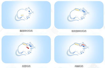 实验干货——解决你连续周期给药困难的“小小泵”，上新啦！.jpg