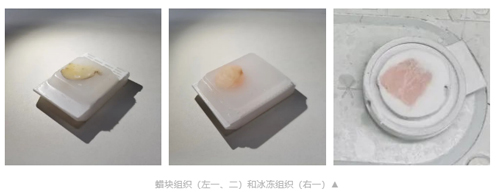诚邀您参加！高分子材料试切进行中
