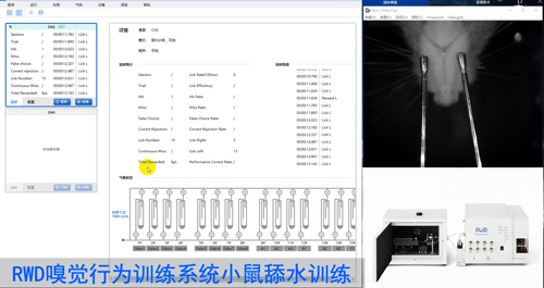 Get最高效的气味刺激关联饮水奖励实验?。ㄉ希? width=
