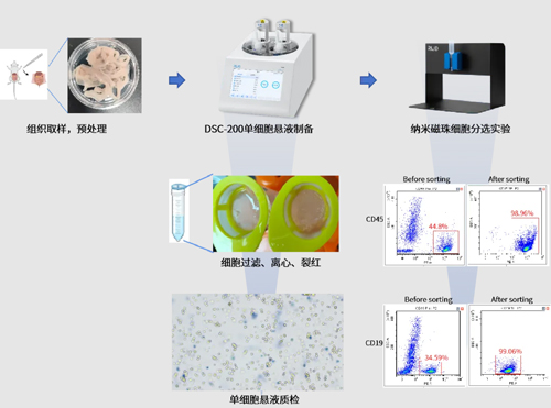 DSC-200单细胞悬液制备仪，双通道开启“新品钜惠”（内含多重优惠福利）