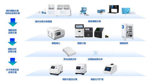 瑞沃德精彩亮相ICGT 2024！
