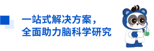 瑞沃德与您相约CNS2024，共享神经科学学术盛宴