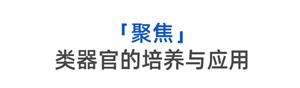 Nature子刊一作廖志赢：发现ACE2潜在的表达机制，联合多个课题组齐心攻克前沿学术难题！