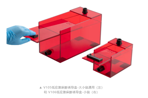 V106红色低应激麻醉诱导盒，开启动物福利新篇章