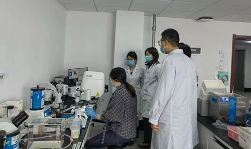对话Blood通讯作者唐小芃教授，揭秘医学顶刊背后的科学探索