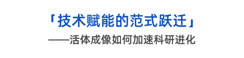 铁死亡诊疗探针突围战——对话中国海洋大学闫江坤博士