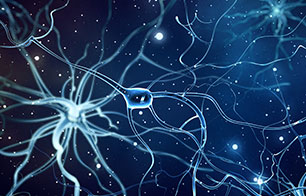 神经生物学研究