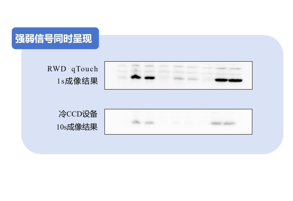 高准确性